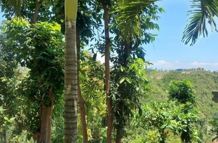Simala Retreat Cebu